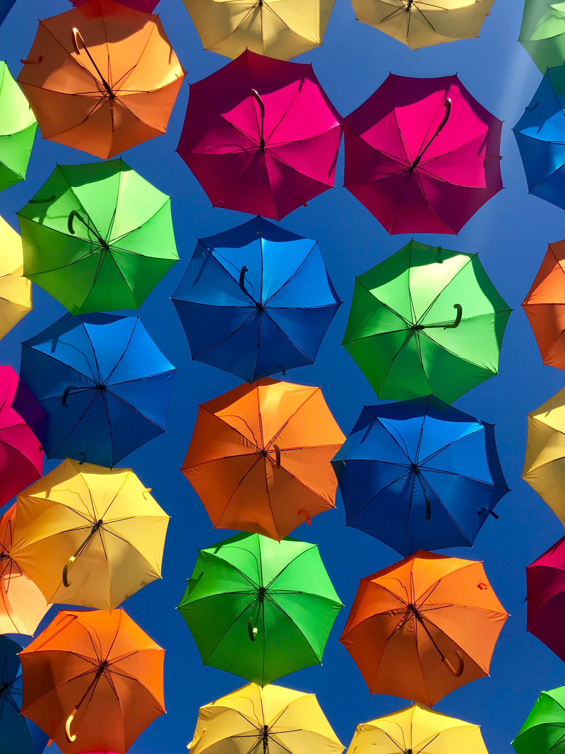 Verschiedenfarbige aufgespannte Regenschirme vor einem Hellblauen Hintergrund